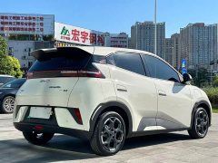 BYD Seagull Smart Driving Edition 305km Freedom Edition - ფოტო 5