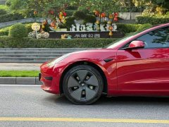 Tesla Model 3 Standard Range RWD Upgrade 3D6 - ფოტო 2