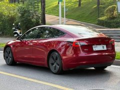 Tesla Model 3 Standard Range RWD Upgrade 3D6 - ფოტო 3