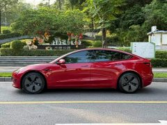 Tesla Model 3 Standard Range RWD Upgrade 3D6 - ფოტო 6