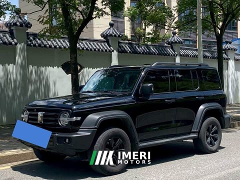2024 Tank 300 2.0T Conqueror - ავტომობილი ჩინეთიდან