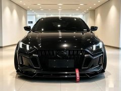 Trumpchi Leopard 270T DCT J16 - ფოტო 2