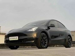 Tesla Model Y Rear-Wheel Drive - ფოტო 1