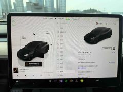 Tesla Model Y Rear-Wheel Drive - ფოტო 12