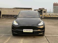 Tesla Model Y Rear-Wheel Drive - ფოტო 2