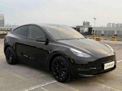 Tesla Model Y Rear-Wheel Drive - ფოტო 3