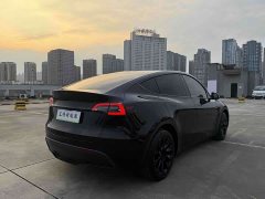 Tesla Model Y Rear-Wheel Drive - ფოტო 4