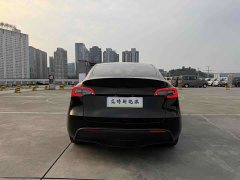 Tesla Model Y Rear-Wheel Drive - ფოტო 5
