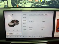 Li Auto L6 Pro - ფოტო 14