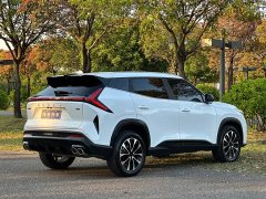 Geely Boyue 1.5TD Good Life - ფოტო 6