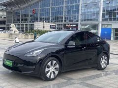 Tesla Model Y Standard Range RWD - ფოტო 1