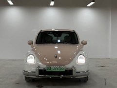ORA Ballet Cat 2023 401km Luxury Edition - ფოტო 2