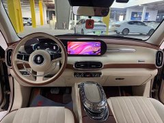 ORA Ballet Cat 2023 401km Luxury Edition - ფოტო 9