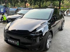 Tesla Model Y Rear-Wheel Drive - ფოტო 2