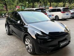 Tesla Model Y Rear-Wheel Drive - ფოტო 3