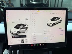 Tesla Model Y Rear-Wheel Drive - ფოტო 5