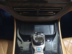 Denza BYD Denza D9 2022 DM-i 1040 Premium - ფოტო 10