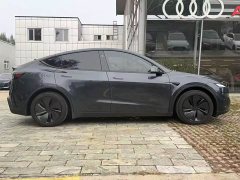Tesla Model Y Rear-Wheel Drive - ფოტო 3