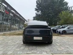 Tesla Model Y Rear-Wheel Drive - ფოტო 8