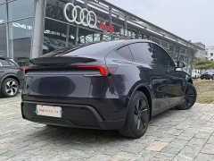 Tesla Model Y Rear-Wheel Drive - ფოტო 9