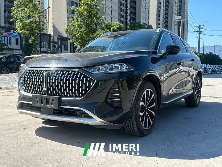 Great Wall Wei Brand Mocha 2.0T Two-Wheel Drive Rich Edition
