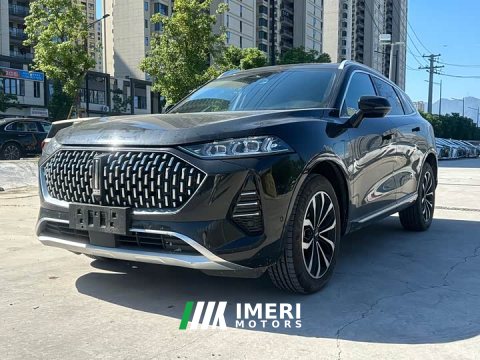 2022 Great Wall Wei Brand Mocha 2021 2.0T Two-Wheel Drive Rich Edition - ავტომობილი ჩინეთიდან