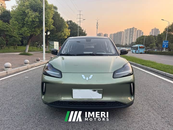 Wuling Binguo PLUS 510km 5-Seater