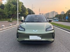 Wuling Binguo PLUS 510km 5-Seater - ფოტო 1