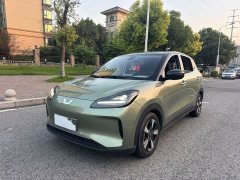 Wuling Binguo PLUS 510km 5-Seater - ფოტო 3