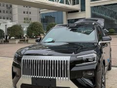 Zeekr 8X Max 55kWh - ფოტო 1