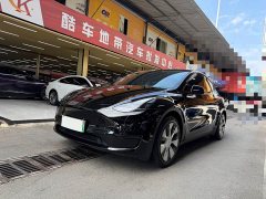 Tesla Model Y 2023 Rear-Wheel Drive - ფოტო 1