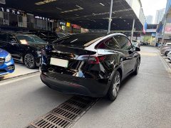 Tesla Model Y 2023 Rear-Wheel Drive - ფოტო 6