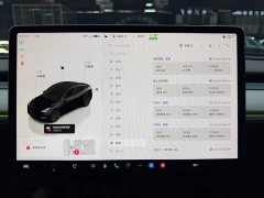 Tesla Model Y 2023 Rear-Wheel Drive - ფოტო 8