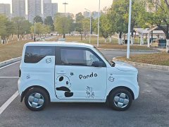 Geely Panda 2023 Panda mini 120km Asian Games Bear - ფოტო 3