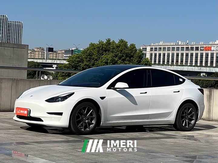 Tesla Model 3 Standard Range RWD Upgrade 3D6