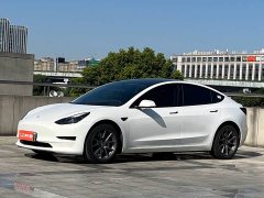 Tesla Model 3 Standard Range RWD Upgrade 3D6 - ფოტო 1