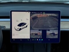 Tesla Model 3 Standard Range RWD Upgrade 3D6 - ფოტო 14