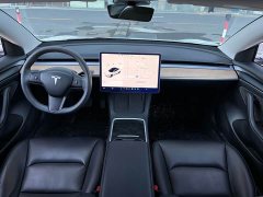 Tesla Model 3 Standard Range RWD Upgrade 3D6 - ფოტო 15