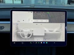 Tesla Model 3 Standard Range RWD Upgrade 3D6 - ფოტო 17