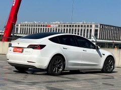 Tesla Model 3 Standard Range RWD Upgrade 3D6 - ფოტო 4