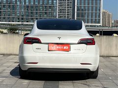 Tesla Model 3 Standard Range RWD Upgrade 3D6 - ფოტო 5