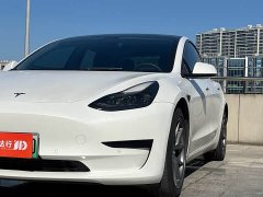 Tesla Model 3 Standard Range RWD Upgrade 3D6 - ფოტო 7