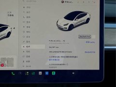 Tesla Model 3 Standard Range RWD Upgrade 3D6 - ფოტო 8