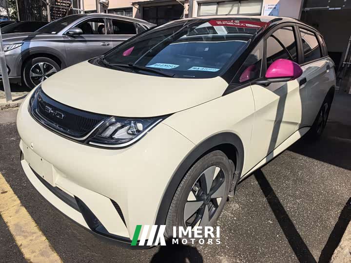 BYD Dolphin 420km Freedom Edition - ავტომობილი ჩინეთიდან