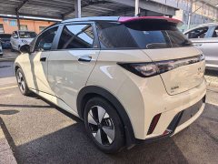 BYD Dolphin 420km Freedom Edition - ფოტო 7