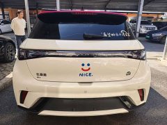 BYD Dolphin 420km Freedom Edition - ფოტო 8