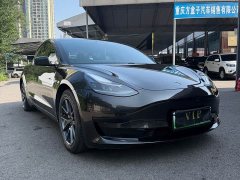 Tesla Model 3 Standard Range RWD Upgrade - ფოტო 3
