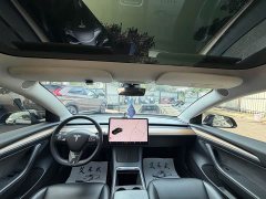 Tesla Model 3 Standard Range RWD Upgrade - ფოტო 8