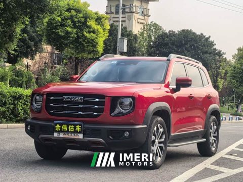 2021 Great Wall Dachshund 1.5T DCT Two-Wheel Drive Border Collie Edition - ავტომობილი ჩინეთიდან