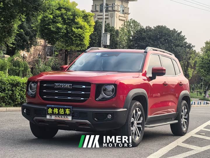 Great Wall Dachshund 1.5T DCT Two-Wheel Drive Border Collie Edition
